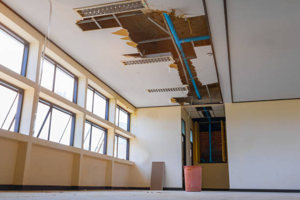 Best Emergency water damage restoration  in Blooming Prairie, MN