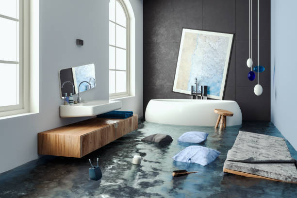 Best Water damage mitigation services  in Blooming Prairie, MN