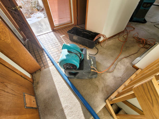 Best Sewage cleanup and water damage restoration  in Blooming Prairie, MN