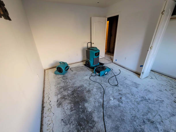  Blooming Prairie, MN Water damage restoration Pros