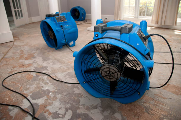Best Water damage restoration near me  in Blooming Prairie, MN