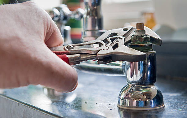 Best Fire Damage Restoration  in Blooming Prairie, MN