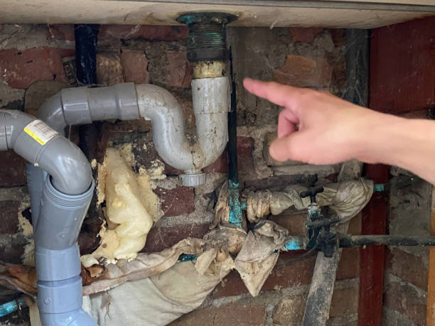 Best Water damage contractors near me  in Blooming Prairie, MN