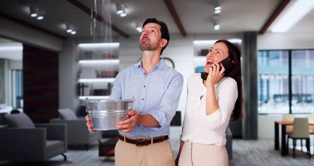 Water damage restoration mold remediation in MN